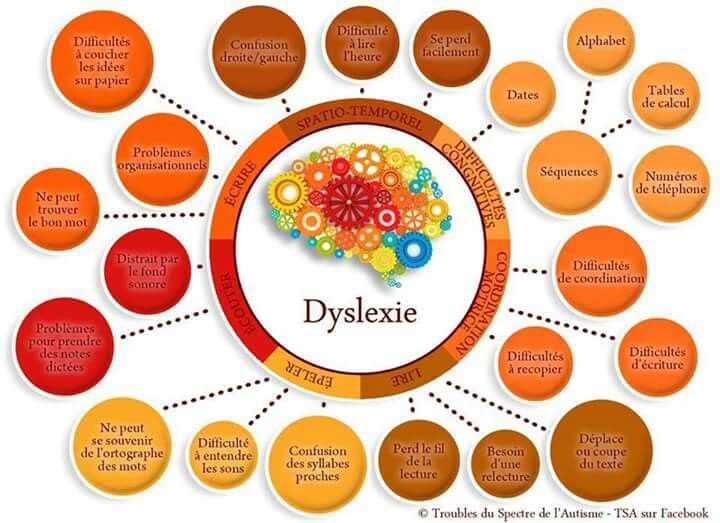 Dyslexie et apprentissage des langues : comment faire ?